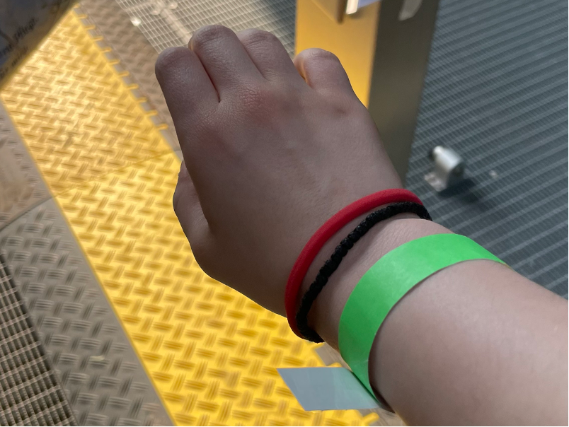 Wenn man mit der Taschen- und Ausweiskontrolle durch ist, bekommt man dieses grüne Festivalarmband. (Foto: Athina)