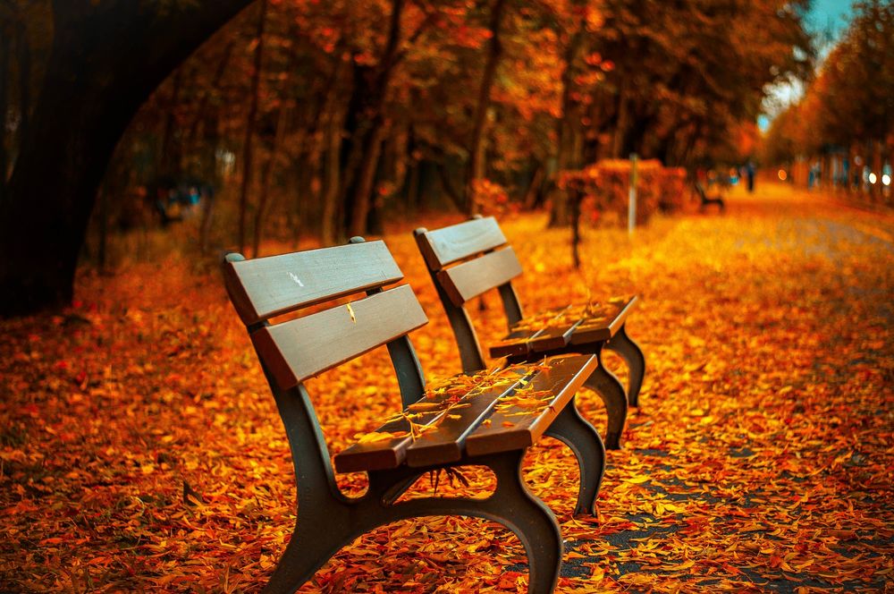Eure Herbstferien müssen nicht Öde werden! Schaut was in den Herbstferien für Jugendliche in Düssldorf Angeboten wird! (Foto: Pixabay)