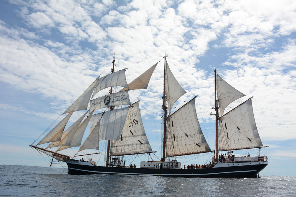 Das Schiff "Thor Heyerdahl" unter Segeln. Foto: KUS