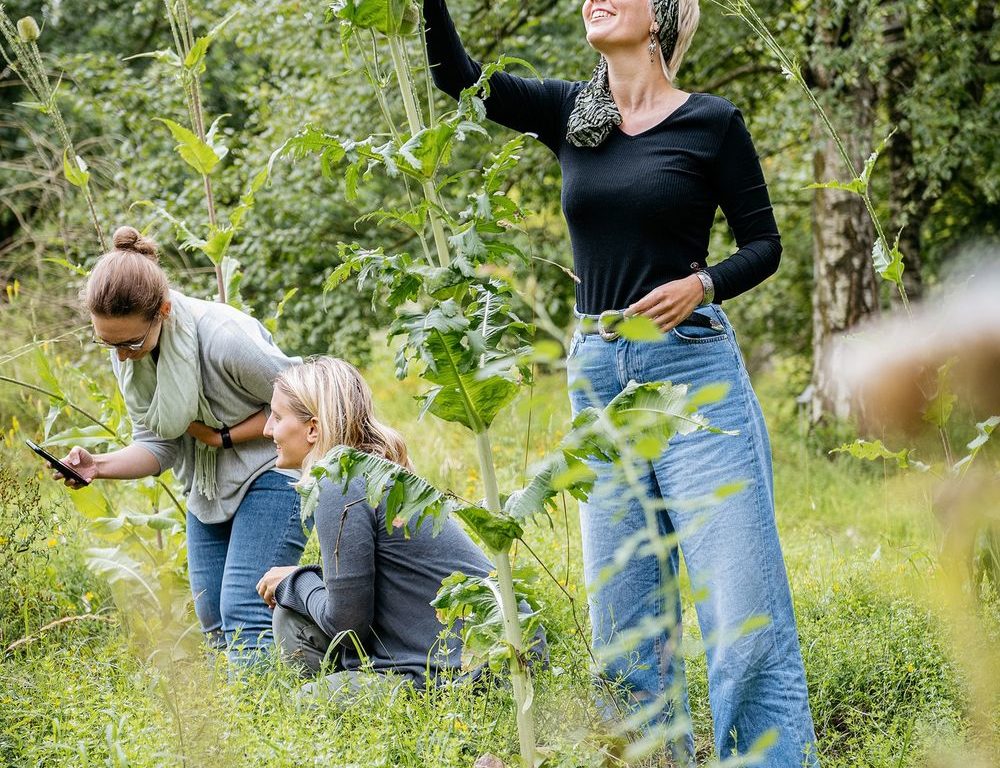 Dir ist Naturschutz und Artenvielfalt wichtig? Dann mach mit beim diesjährigen #Bioblitz2022 ! (Foto: LWL Naturkundemuseum Münster)