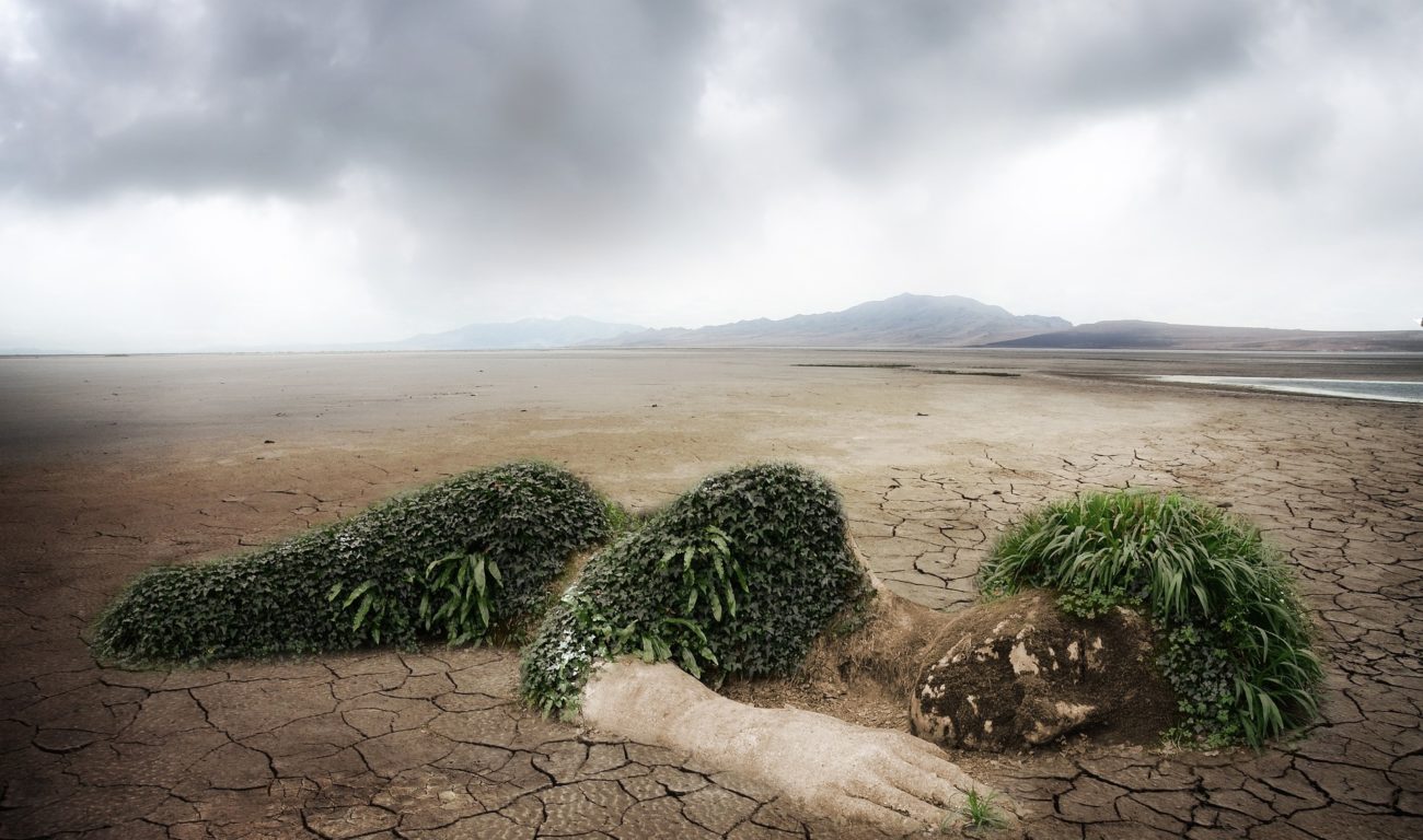 Klimaschutz ist das gar nicht so schwer, wir müssen es nur gemeinsam anpacken.
