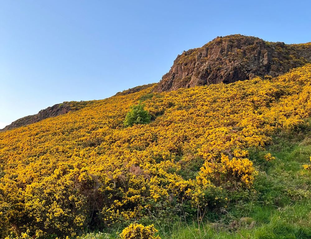 Park Edinburgh