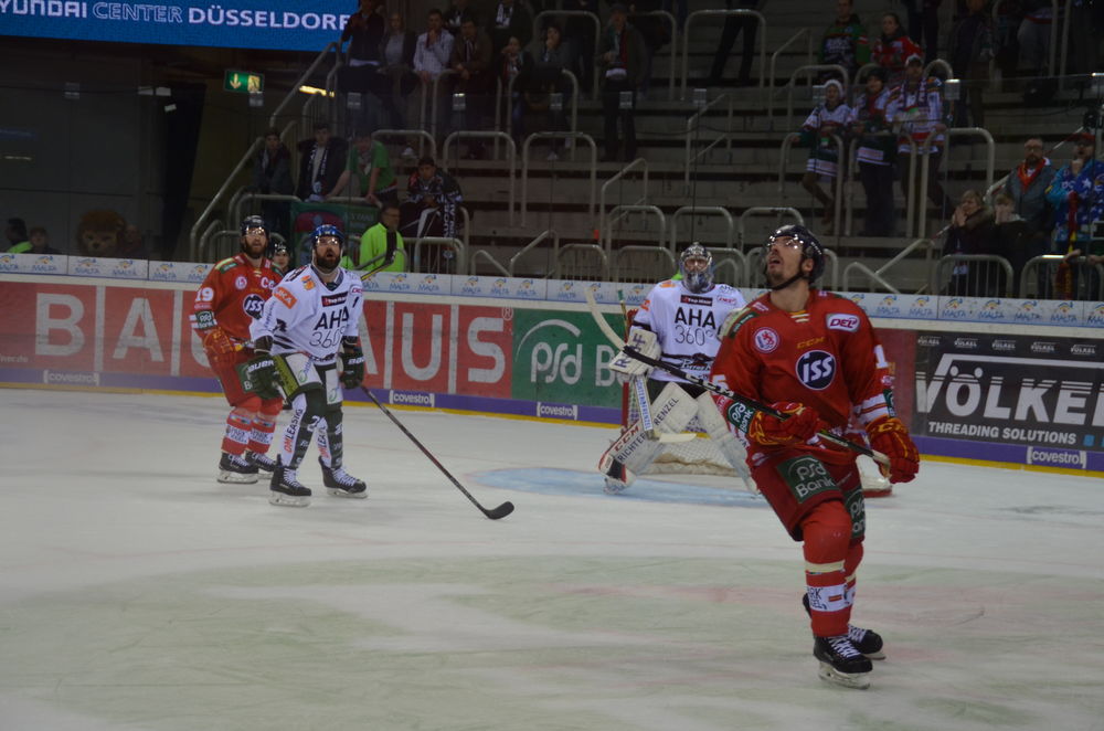 Flieg, kleiner Puck, flieg! ;Foto: Lara A.