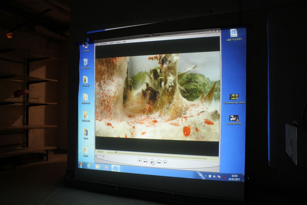 Ein Filmprojekt: Schimmel als Mittel der Kunst. (Foto: Christina Behrens)