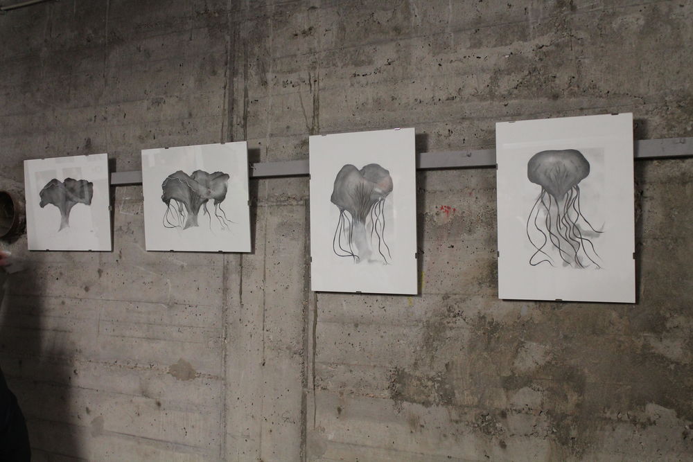 Die Metamorphose von Pilz zu Qualle - zu sehen als Bleistiftzeichnung von Gisa Graefe. (Foto: Christina Behrens)