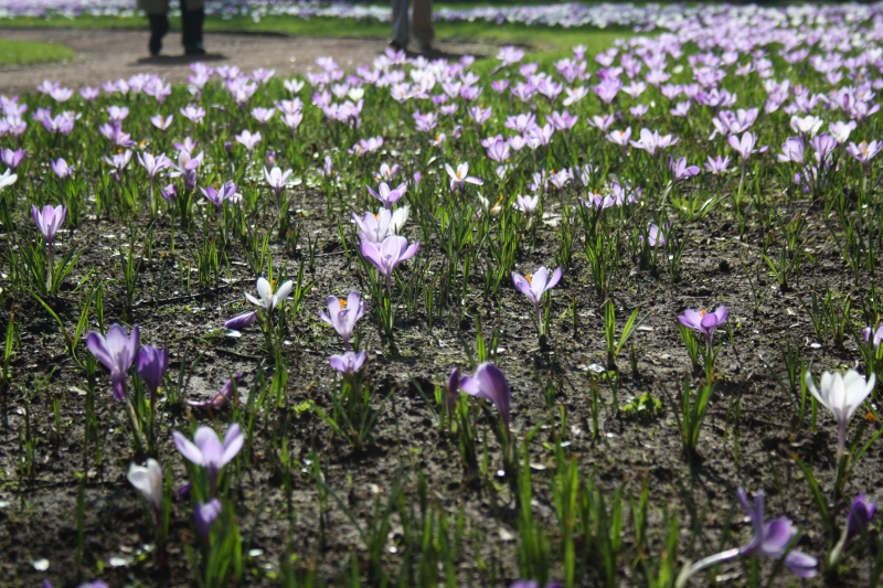 Düsseldorfer genießen ersten richtigen Frühlingstag