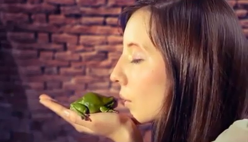 Sei kein Frosch - zeig Zivilcourage! Screenshot, Flagge zeigen Vol. 4