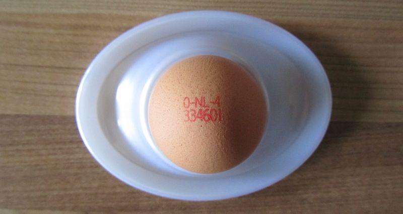 Augen auf beim Eier-Kauf
