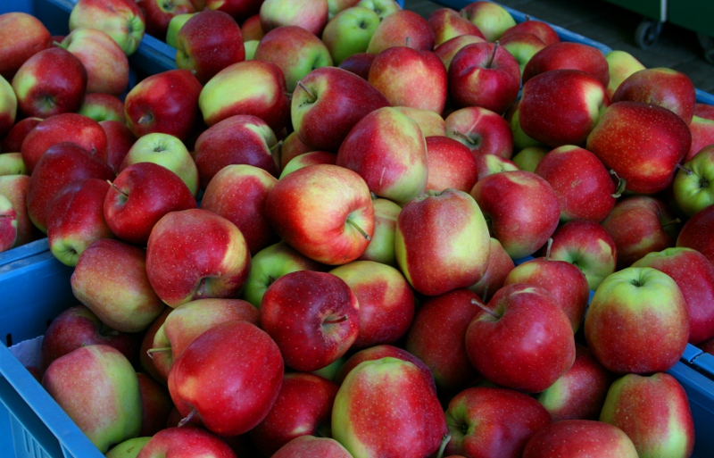 Frisches Obst ist gesund, Obstsalate aus dem Supermarkt nicht immer. (Foto: youpod)
