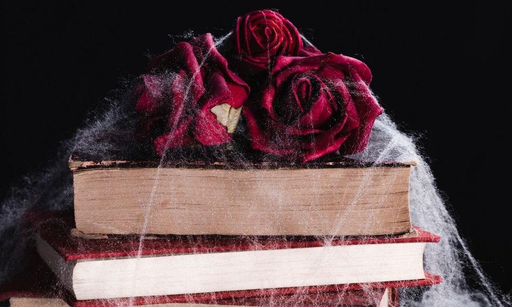 Quelle: https://www.freepik.com/free-photo/close-up-roses-books-with-spider-web_5388615.htm#fromView=search&page=1&position=0&uuid=e0035723-5e4c-4698-a546-2b676bc207d5