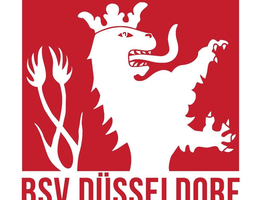 (Grafik: Logo BSV)