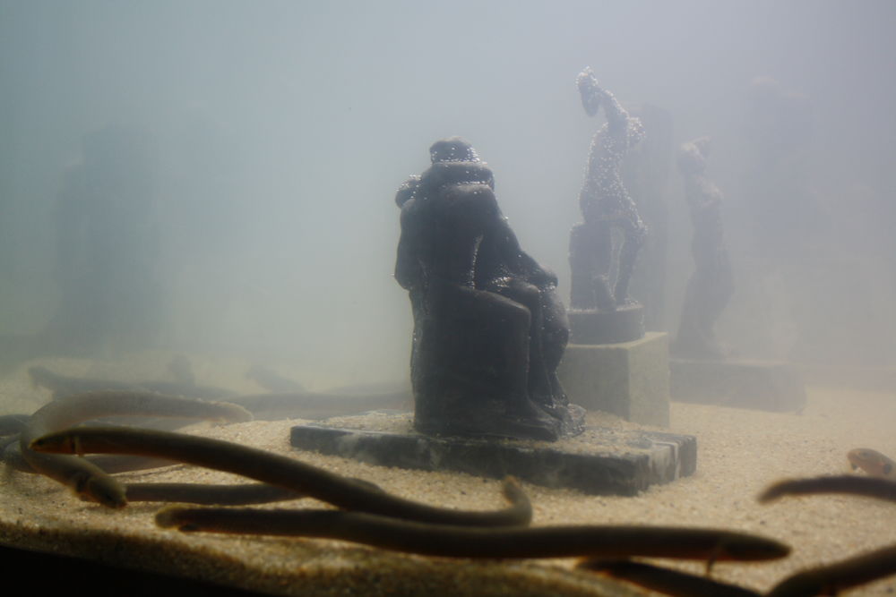 Kleine Aale schwimmen um ineinander verschränkte Körper (Foto: Christina Behrens)