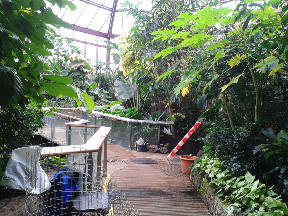 Das Tropenhaus ist im Aquazoo schon zu erkennen. Nur Tiere sind noch nicht wieder eingezogen. jt