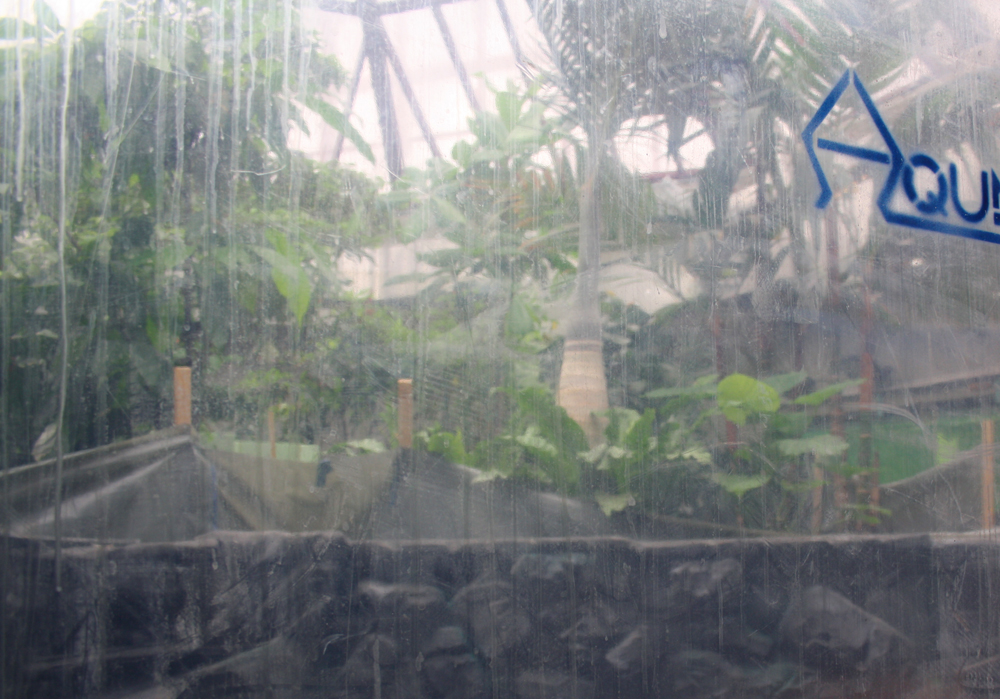 youpod_Aquazoo_Duesseldorf_Bau_Feb16 (8).jpg - Aquazoo eröffnet erst im März 2017 - jt